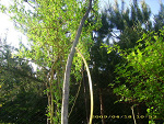 Fotoblog gadzia