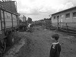 Fotoblog mynina