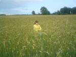 Fotoblog annuuus