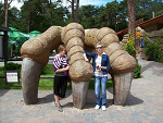Fotoblog agullka13