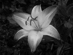 Fotoblog filip1234567