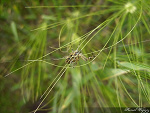 Fotoblog irminiak