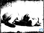 Fotoblog natix3026