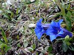 Fotoblog plasticearth