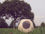 Fotoblog gucioreddevil