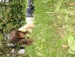 Fotoblog xdsyla