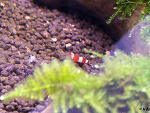 Fotoblog aquamaniak