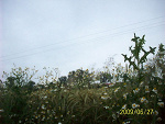 Fotoblog bazancik16