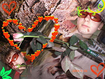 Fotoblog zyrafa3