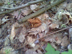 Fotoblog rozowymarker