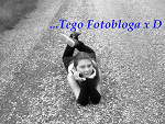 Fotoblog karolinqowa