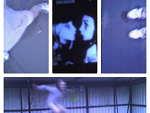 Fotoblog duzza