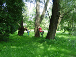 Fotoblog wpadlamdofilizanki