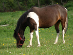 Fotoblog chester7andzia