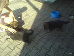 Fotoblog kosek1233