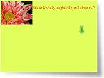 Fotoblog obrazkink