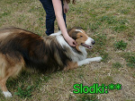 Fotoblog piccola12