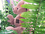Fotoblog psychodeela