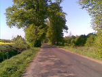 Fotoblog olusbuziaczki