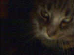 Fotoblog radek009