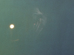 Fotoblog asiaes