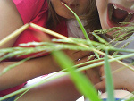 Fotoblog monia9995