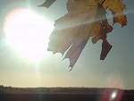 Fotoblog carmelq18