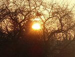Fotoblog niutata