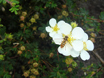 Fotoblog bardzozakrecona