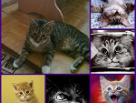 Fotoblog ewka8520