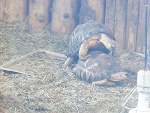 Fotoblog thetruenrb