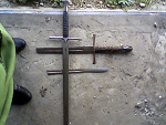 Fotoblog fauun