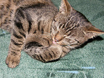 Fotoblog billythekid