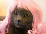 Fotoblog anka1968