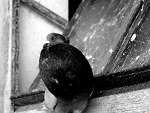 Fotoblog ayanne