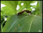 Fotoblog 7agulka