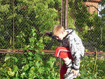 Fotoblog skatemp