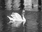 Fotoblog xpaulinkax