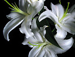 Fotoblog natka2602