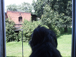 Fotoblog pela15