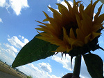 Fotoblog loveforeve