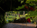 Fotoblog millu95
