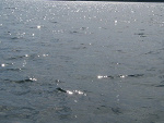 Fotoblog atram2012
