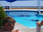 Fotoblog dawid134