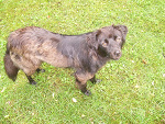 Fotoblog layylavictoria