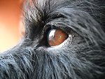 Fotoblog sudarshini