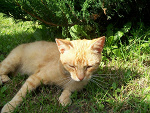 Fotoblog donialek