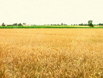 Fotoblog zaczarowacszarosc