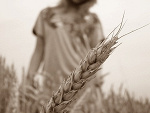 Fotoblog patsz