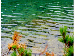 Fotoblog ani2491